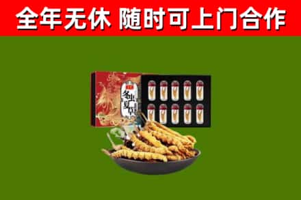 宜丰县回收冬虫夏草价格